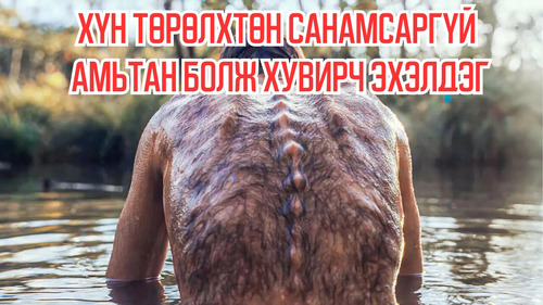 In This World, Humans Start to Mutate Into Random Creatures